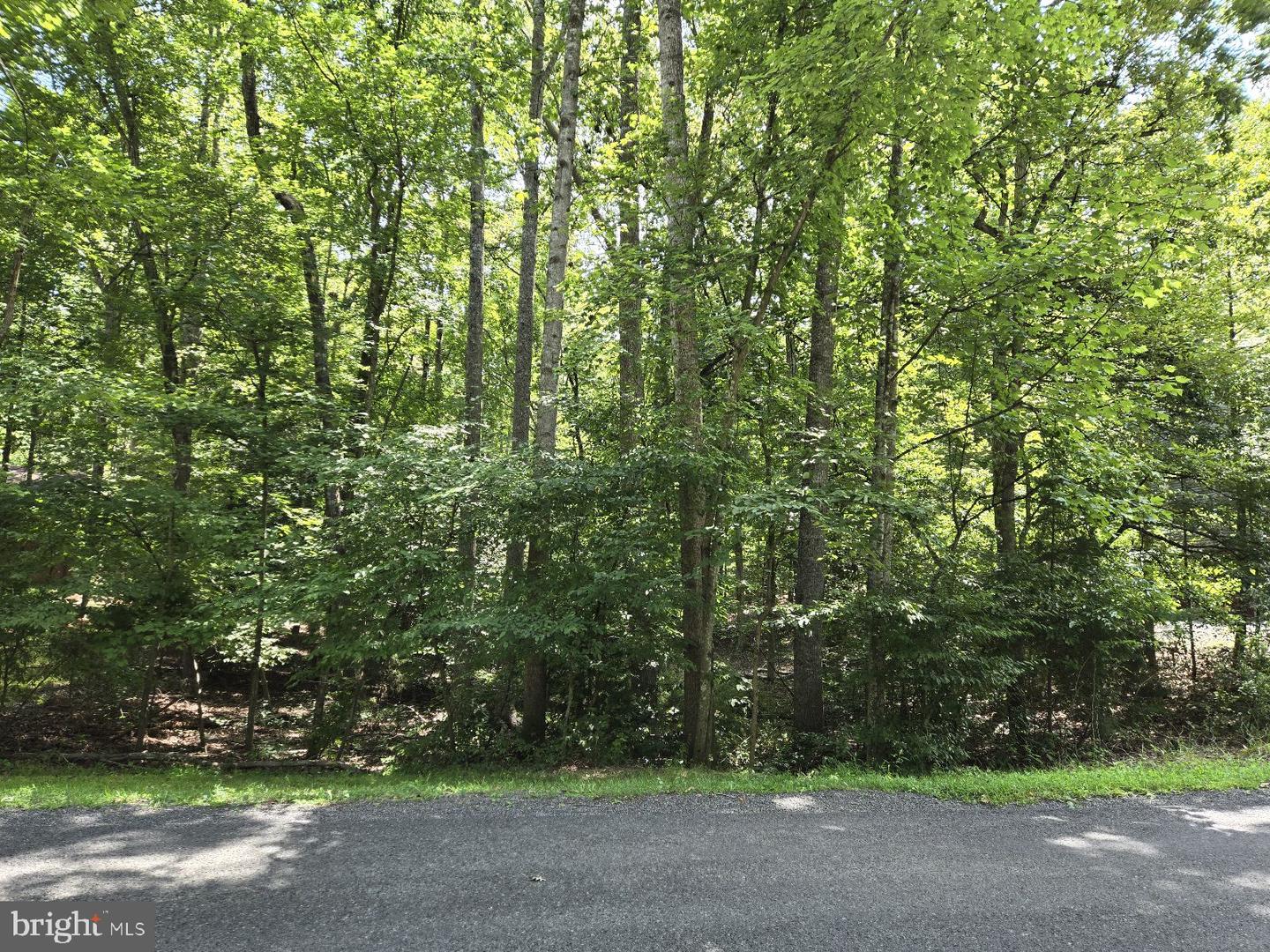 135 MONTICELLO CIR, LOCUST GROVE, Virginia 22508, ,Land,For sale,135 MONTICELLO CIR,VAOR2007768 MLS # VAOR2007768