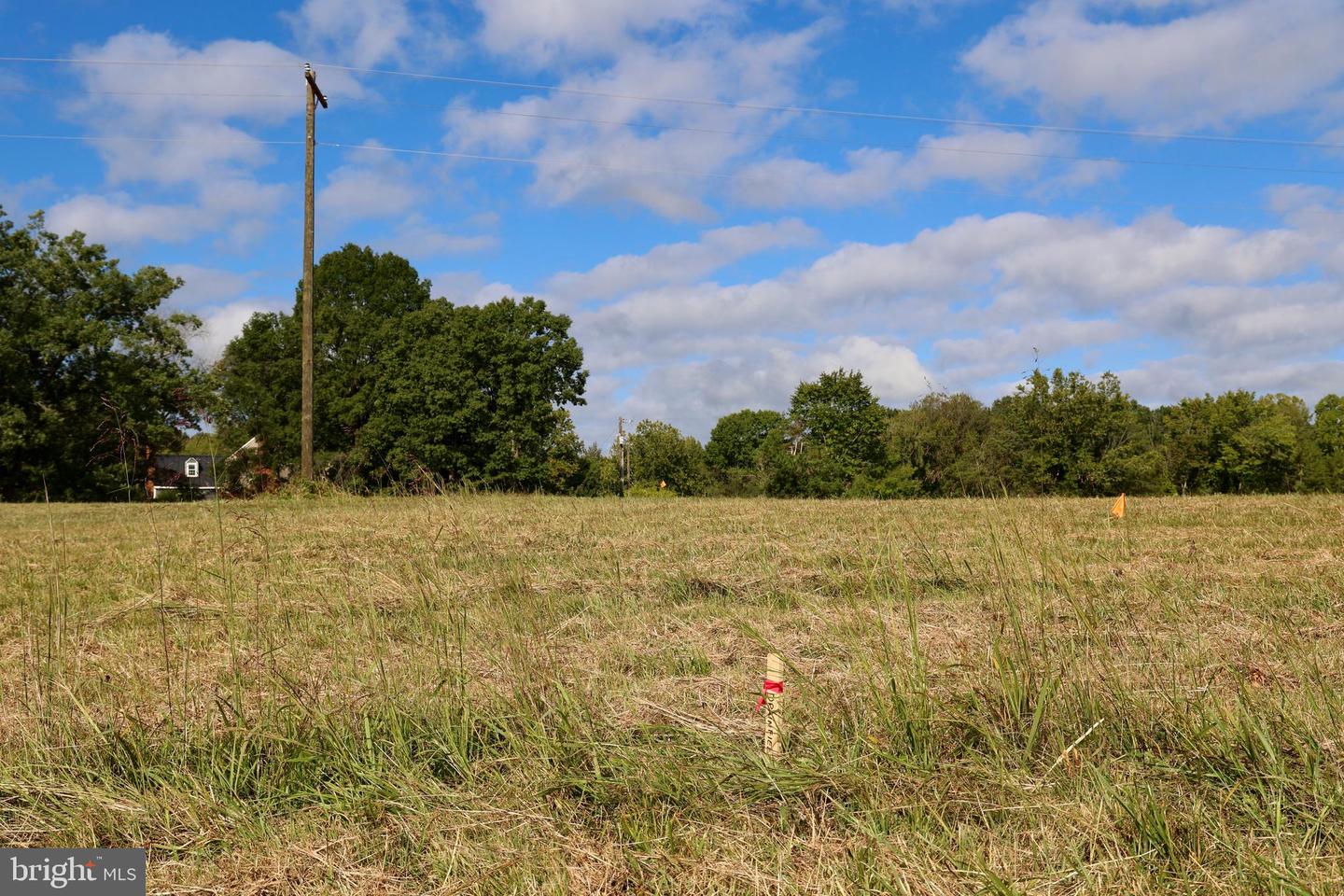 0 CROSS COUNTY RD #CROSS COUNTY ROAD, MINERAL, Virginia 23117, ,Land,For sale,0 CROSS COUNTY RD #CROSS COUNTY ROAD,VALA2006560 MLS # VALA2006560