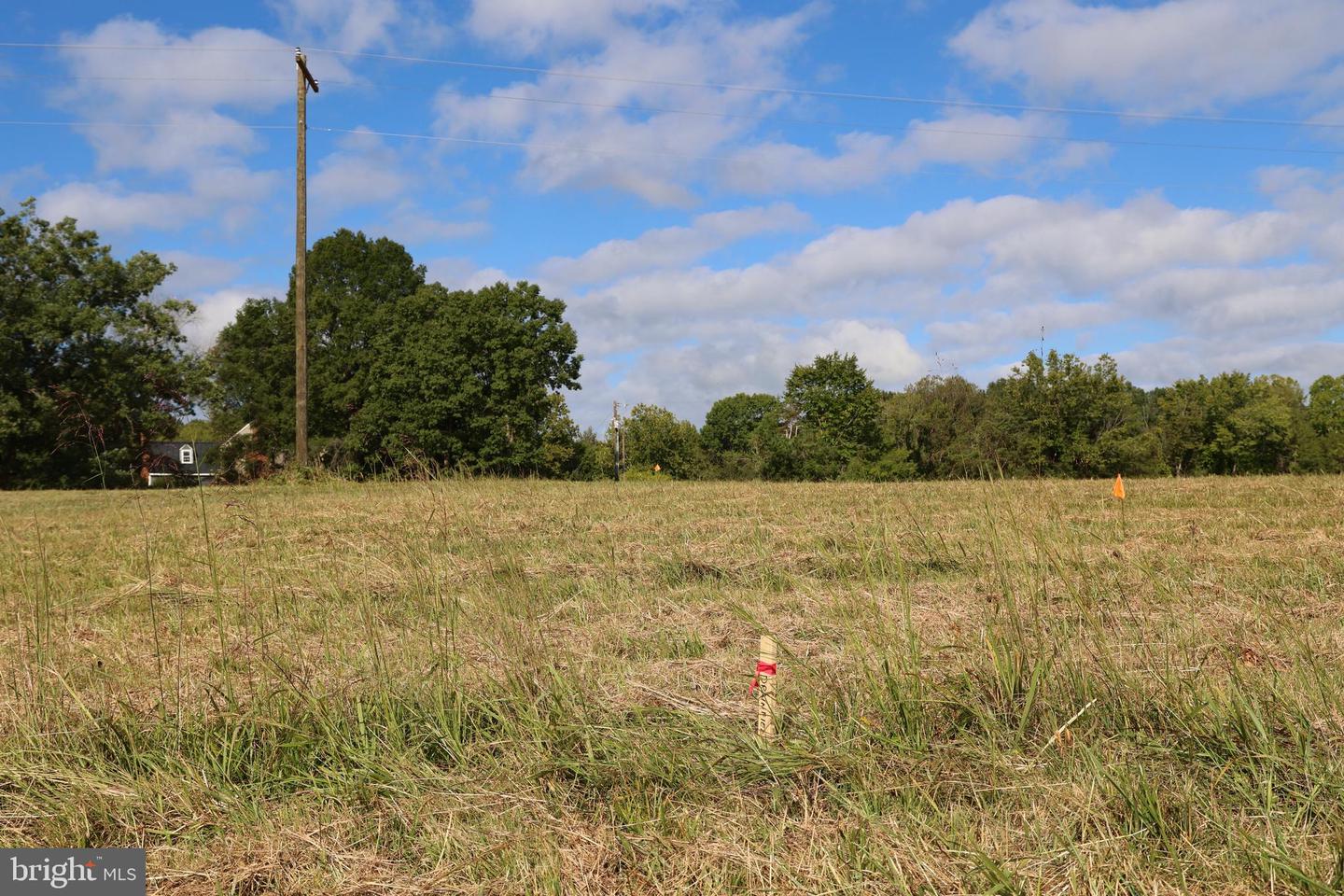 0 CROSS COUNTY RD #CROSS COUNTY ROAD, MINERAL, Virginia 23117, ,Land,For sale,0 CROSS COUNTY RD #CROSS COUNTY ROAD,VALA2006560 MLS # VALA2006560