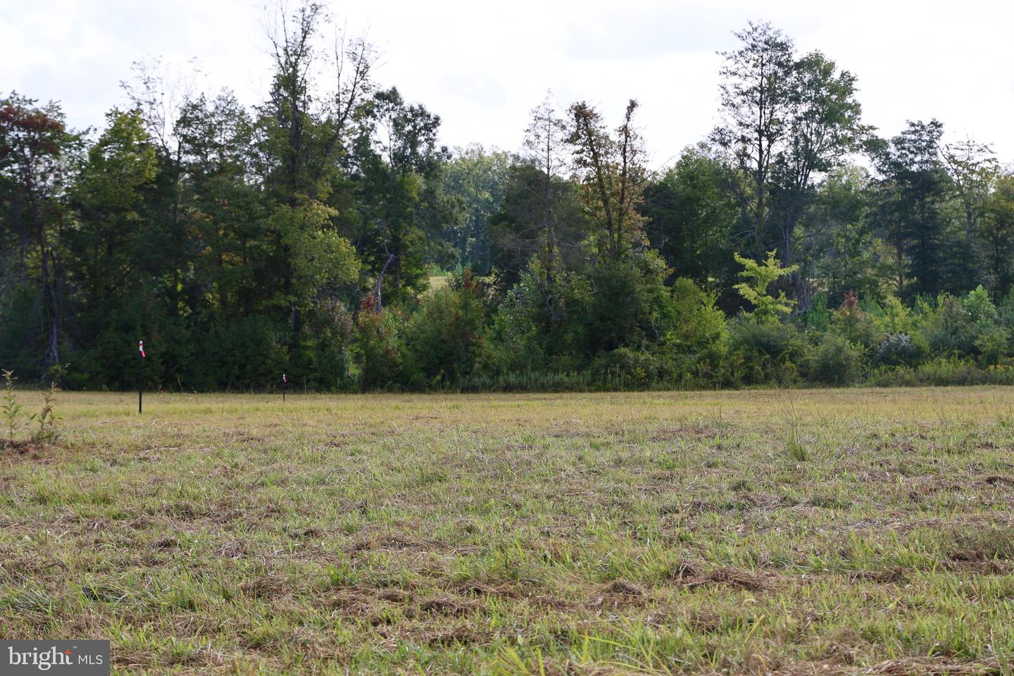 0 CROSS COUNTY RD #CROSS COUNTY ROAD, MINERAL, Virginia 23117, ,Land,For sale,0 CROSS COUNTY RD #CROSS COUNTY ROAD,VALA2006560 MLS # VALA2006560