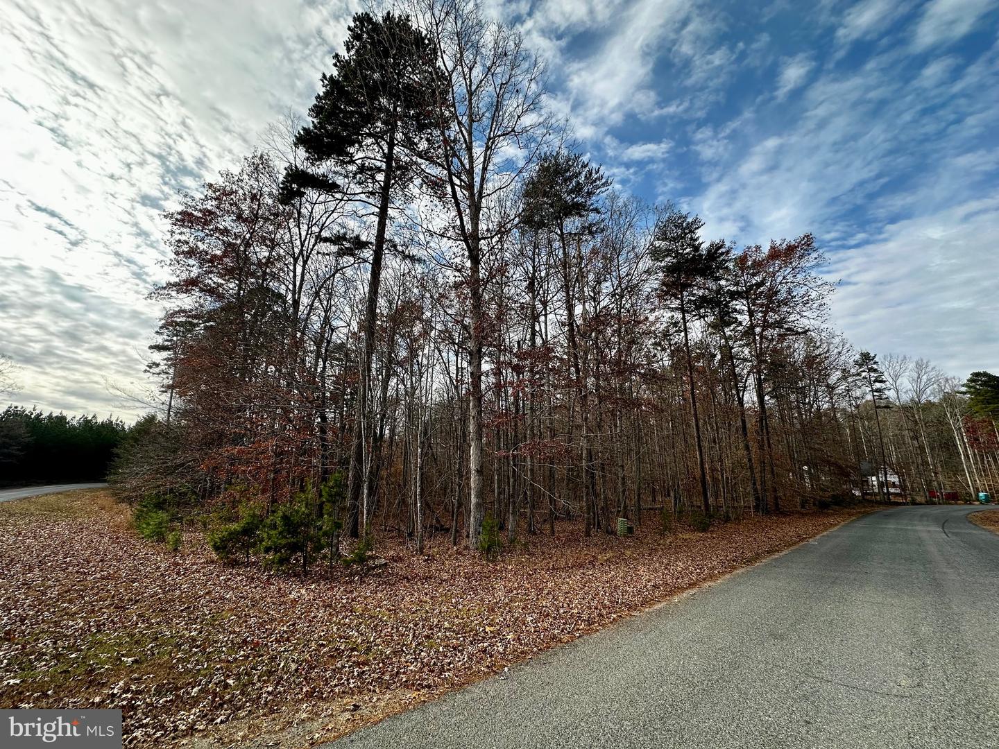 LOT 102 HENSLEY RD, MINERAL, Virginia 23117, ,Land,For sale,LOT 102 HENSLEY RD,VALA2006960 MLS # VALA2006960