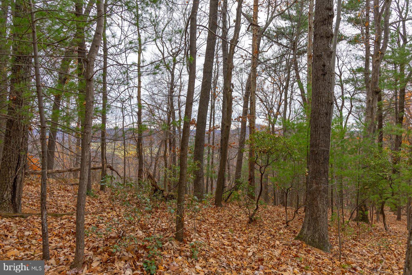 0 WOODWARD ROAD, SPERRYVILLE, Virginia 22740, ,Land,For sale,0 WOODWARD ROAD,VARP2001864 MLS # VARP2001864