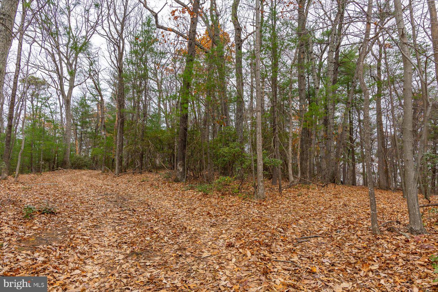 0 WOODWARD ROAD, SPERRYVILLE, Virginia 22740, ,Land,For sale,0 WOODWARD ROAD,VARP2001864 MLS # VARP2001864