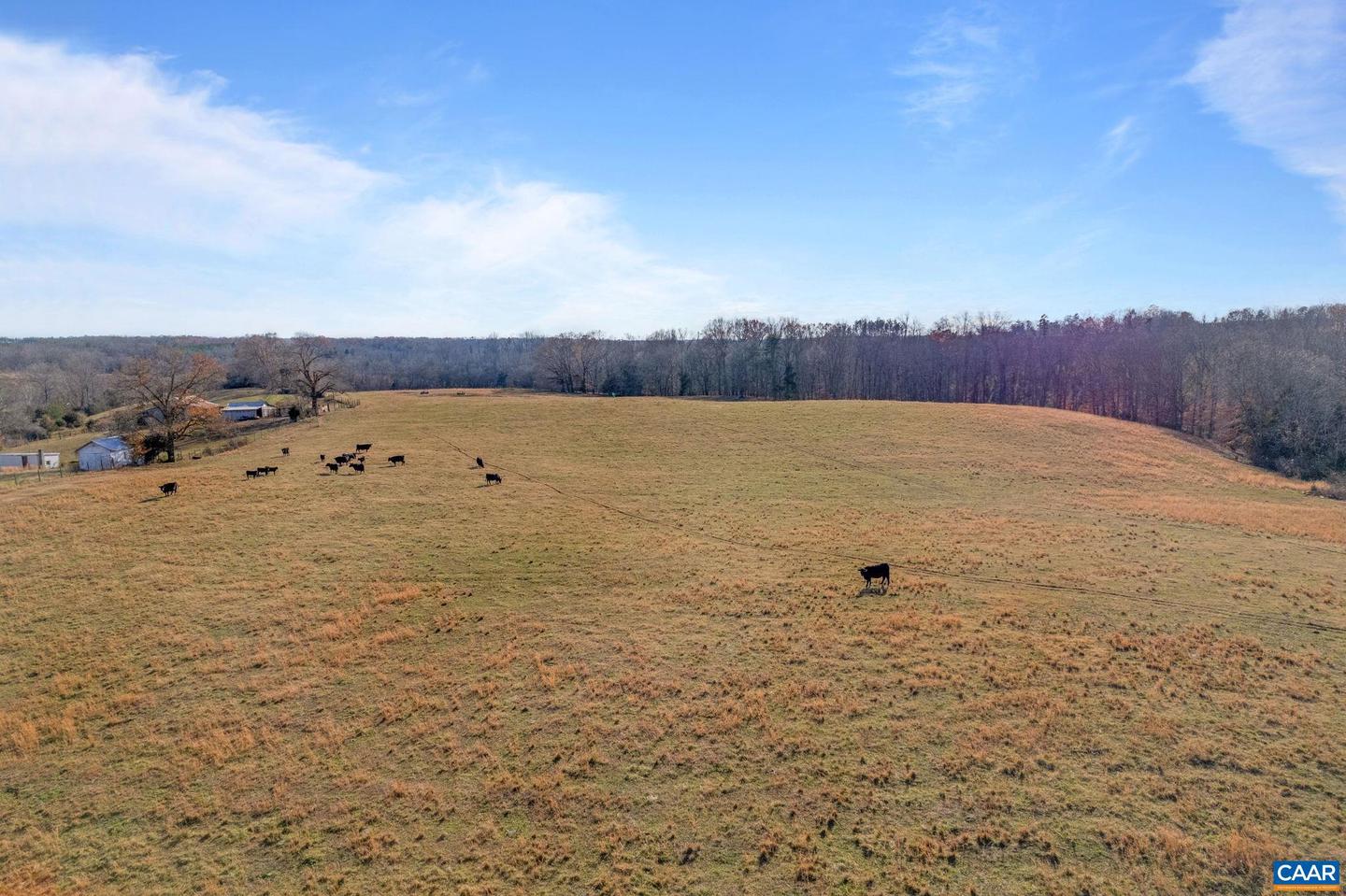 0 WEST RIVER RD, SCOTTSVILLE, Virginia 24590, ,Land,For sale,0 WEST RIVER RD,659166 MLS # 659166