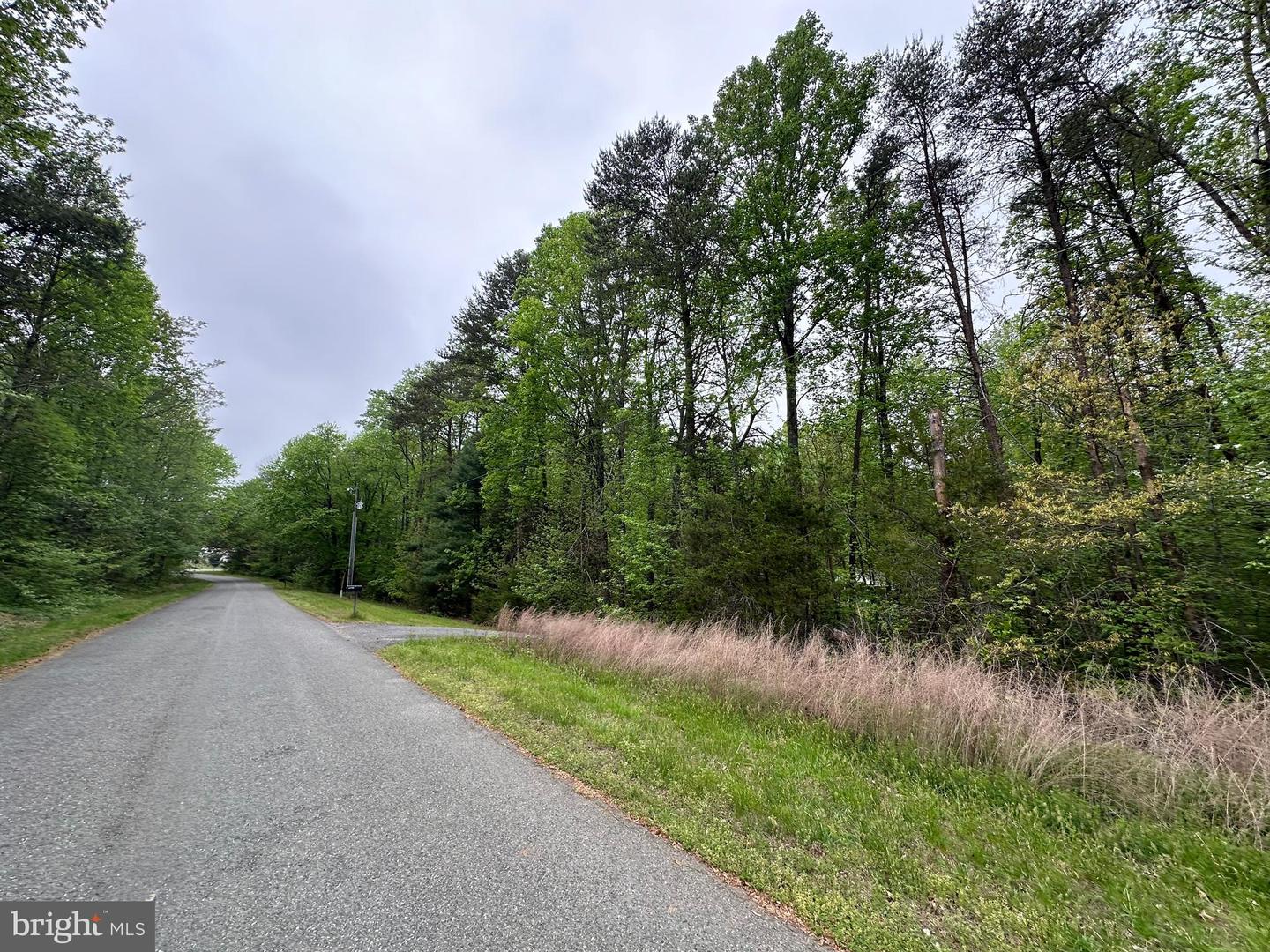 LOT 11 PLUM TREE CIR, BUMPASS, Virginia 23024, ,Land,For sale,LOT 11 PLUM TREE CIR,VALA2005520 MLS # VALA2005520