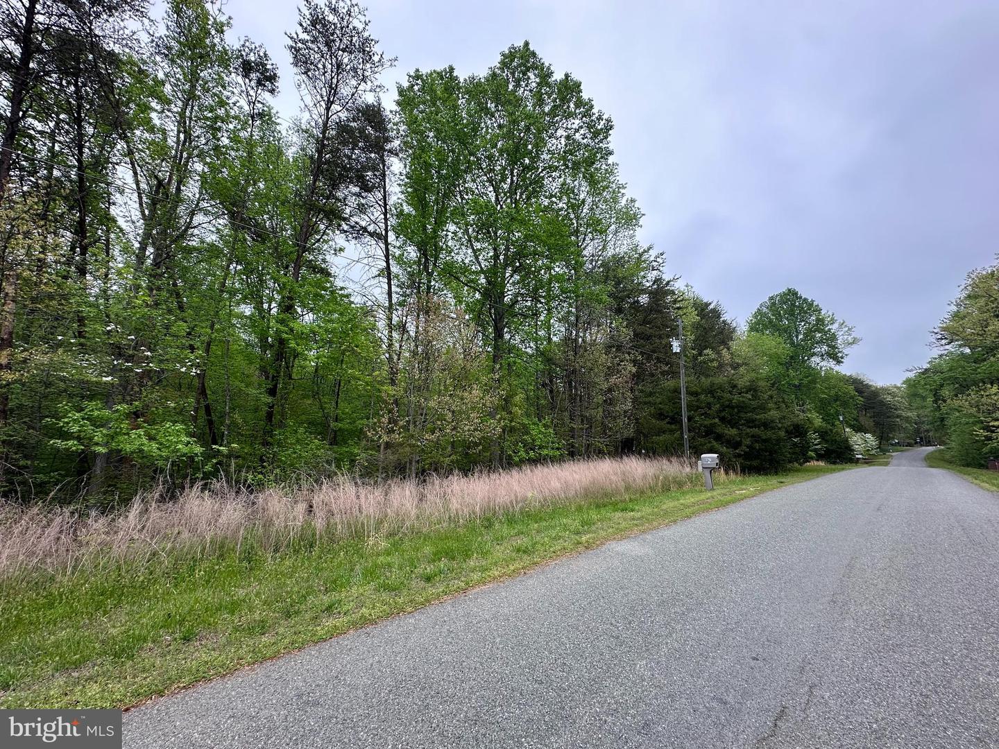 LOT 11 PLUM TREE CIR, BUMPASS, Virginia 23024, ,Land,For sale,LOT 11 PLUM TREE CIR,VALA2005520 MLS # VALA2005520