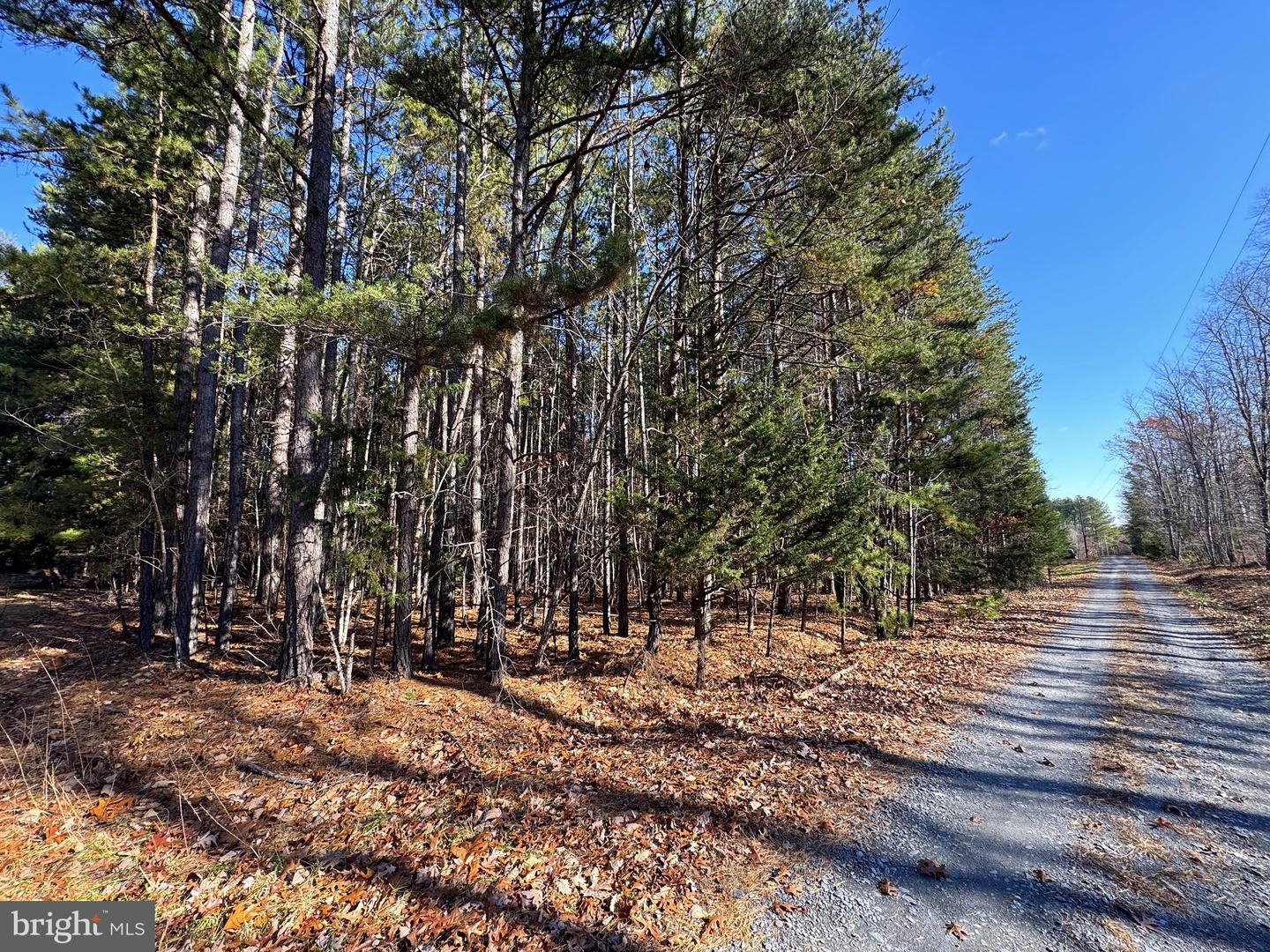 0 HUNDLEY BRANCH RD, SCOTTSVILLE, Virginia 24590, ,Land,For sale,0 HUNDLEY BRANCH RD,VABH2000136 MLS # VABH2000136