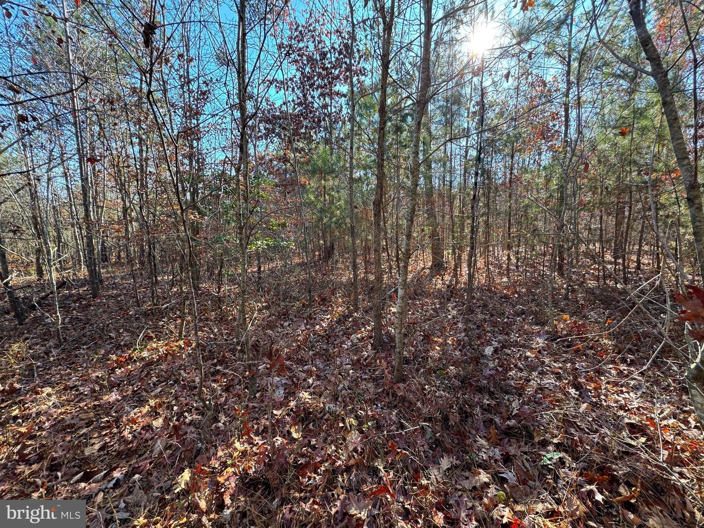 0 HUNDLEY BRANCH RD, SCOTTSVILLE, Virginia 24590, ,Land,For sale,0 HUNDLEY BRANCH RD,VABH2000136 MLS # VABH2000136