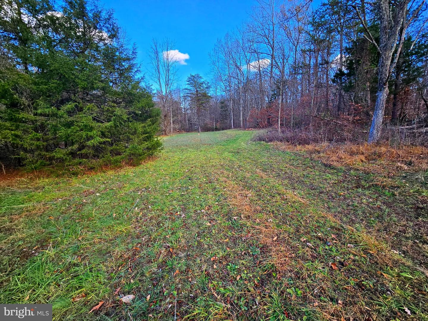 WAUGH RD, UNIONVILLE, Virginia 22567, ,Land,For sale,WAUGH RD,VAOR2008416 MLS # VAOR2008416