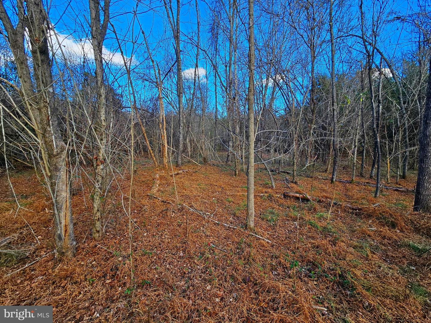 WAUGH RD, UNIONVILLE, Virginia 22567, ,Land,For sale,WAUGH RD,VAOR2008416 MLS # VAOR2008416