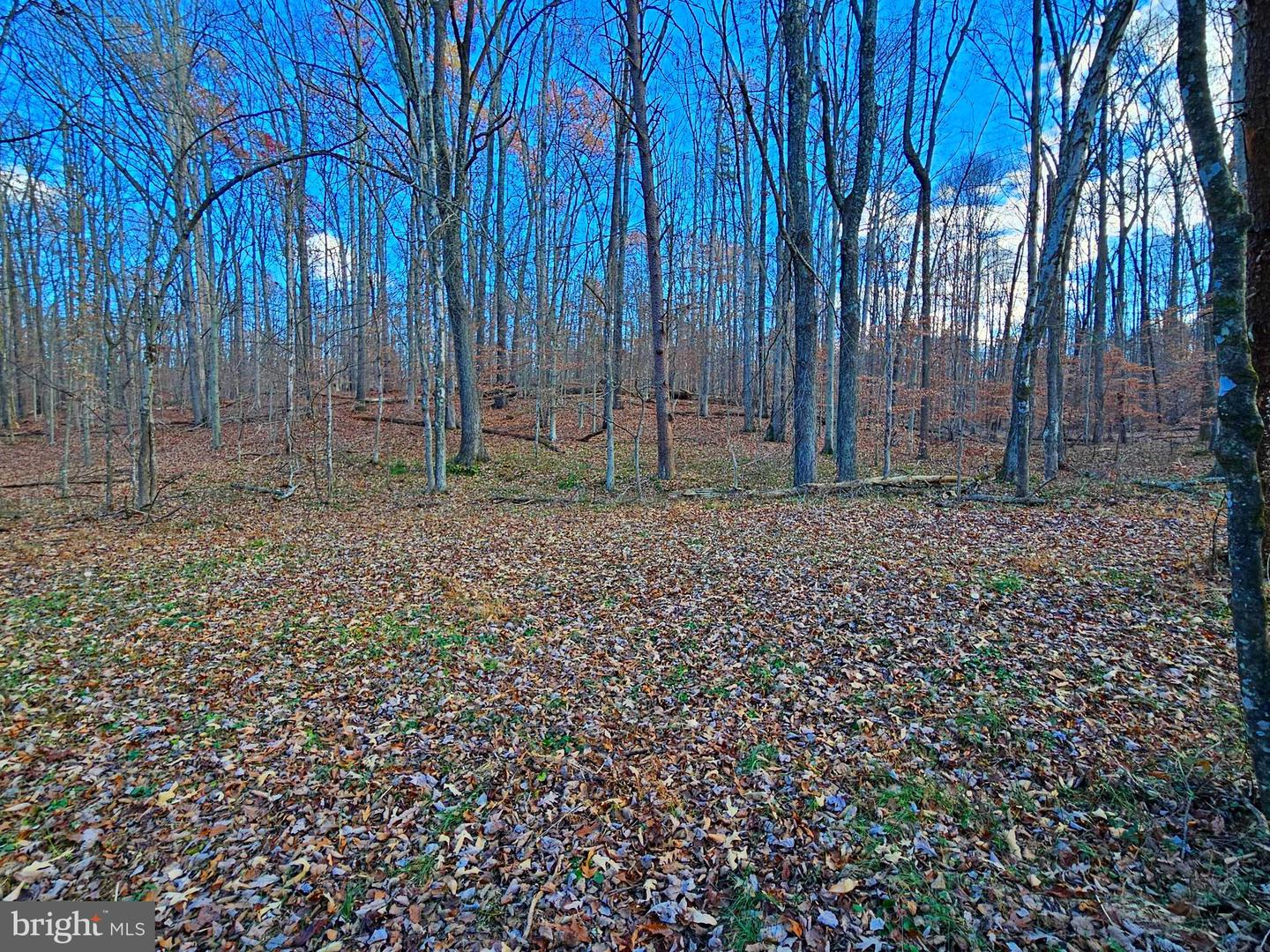 WAUGH RD, UNIONVILLE, Virginia 22567, ,Land,For sale,WAUGH RD,VAOR2008416 MLS # VAOR2008416