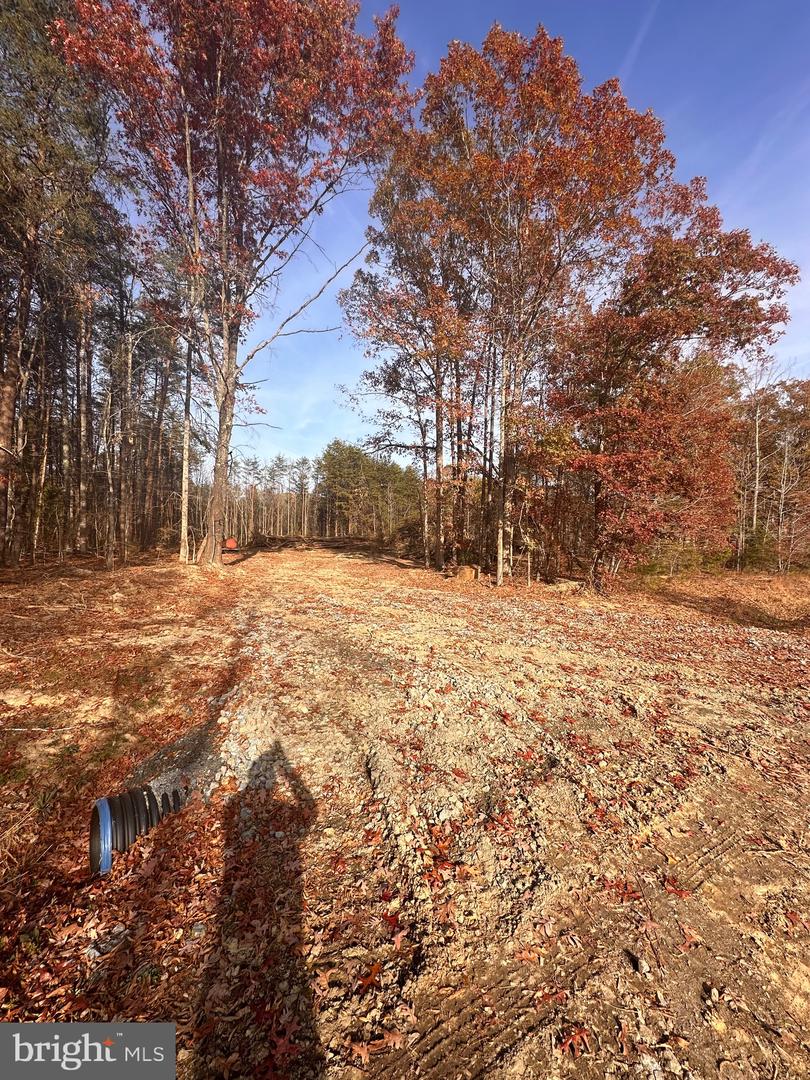 LOT 2 EQUESTRIAN LANDING TRAIL, BUMPASS, Virginia 23024, ,Land,For sale,LOT 2 EQUESTRIAN LANDING TRAIL,VALA2006992 MLS # VALA2006992