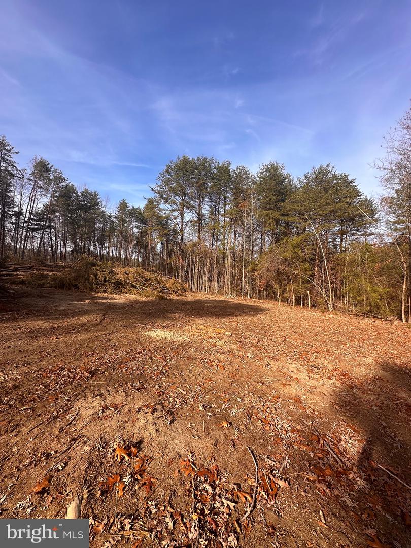 LOT 2 EQUESTRIAN LANDING TRAIL, BUMPASS, Virginia 23024, ,Land,For sale,LOT 2 EQUESTRIAN LANDING TRAIL,VALA2006992 MLS # VALA2006992