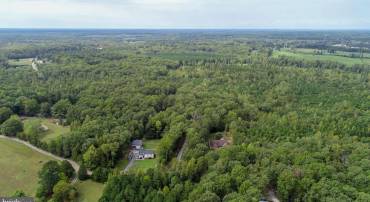 JONES FARM RD, MONTPELIER, Virginia 23192, ,Land,For sale,JONES FARM RD,VALA2006994 MLS # VALA2006994