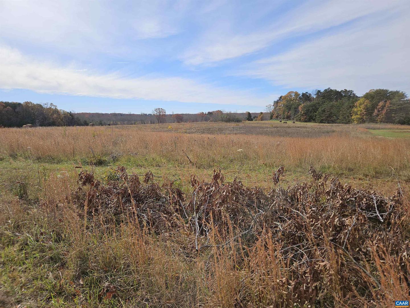 TBD W JAMES ANDERSON HWY, BUCKINGHAM, Virginia 23921, ,Land,For sale,TBD W JAMES ANDERSON HWY,659244 MLS # 659244