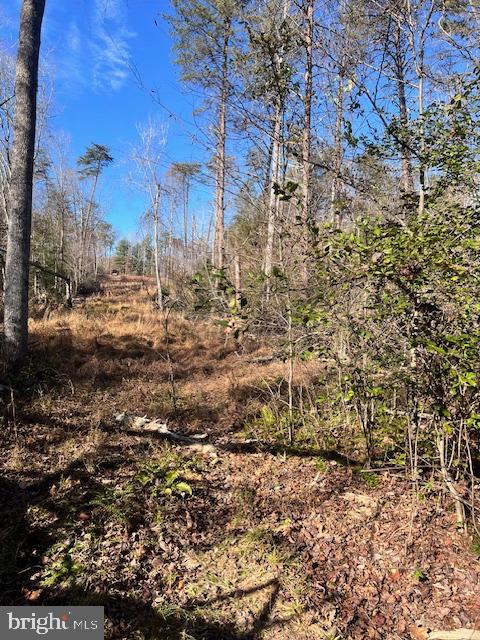 LOT 5998 VERMONT RD, RHOADESVILLE, Virginia 22542, ,Land,For sale,LOT 5998 VERMONT RD,VAOR2008500 MLS # VAOR2008500