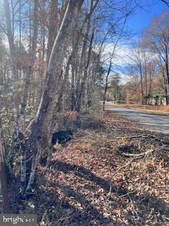 LOT 5998 VERMONT RD, RHOADESVILLE, Virginia 22542, ,Land,For sale,LOT 5998 VERMONT RD,VAOR2008500 MLS # VAOR2008500