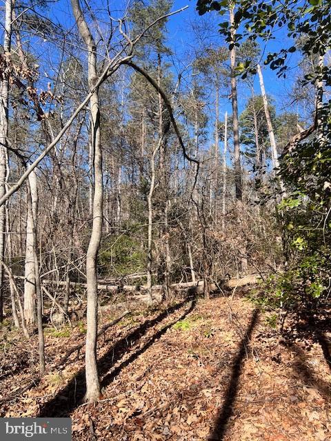 LOT 5998 VERMONT RD, RHOADESVILLE, Virginia 22542, ,Land,For sale,LOT 5998 VERMONT RD,VAOR2008500 MLS # VAOR2008500