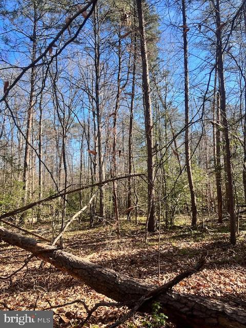 LOT 5998 VERMONT RD, RHOADESVILLE, Virginia 22542, ,Land,For sale,LOT 5998 VERMONT RD,VAOR2008500 MLS # VAOR2008500