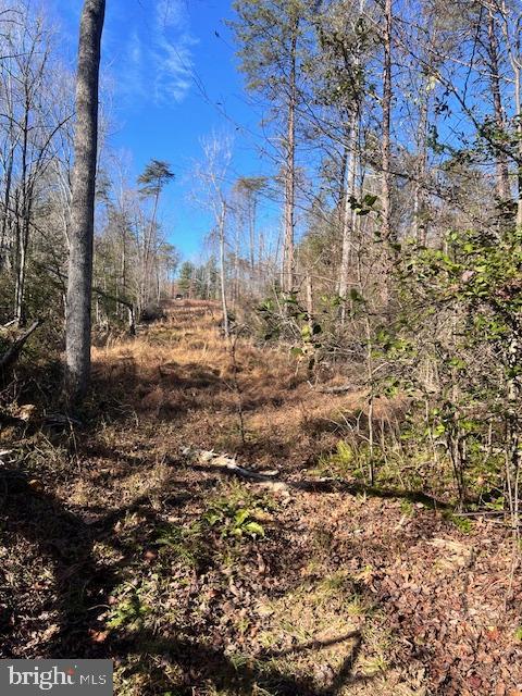 LOT 5998 VERMONT RD, RHOADESVILLE, Virginia 22542, ,Land,For sale,LOT 5998 VERMONT RD,VAOR2008500 MLS # VAOR2008500