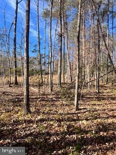 (LOT 5999) VERMONT RD, RHOADESVILLE, Virginia 22542, ,Land,For sale,(LOT 5999) VERMONT RD,VAOR2008504 MLS # VAOR2008504