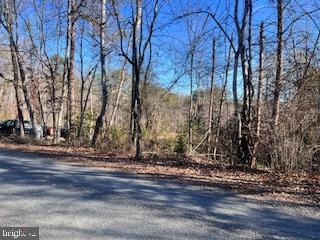 (LOT 5999) VERMONT RD, RHOADESVILLE, Virginia 22542, ,Land,For sale,(LOT 5999) VERMONT RD,VAOR2008504 MLS # VAOR2008504