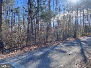 (LOT 5999) VERMONT RD, RHOADESVILLE, Virginia 22542, ,Land,For sale,(LOT 5999) VERMONT RD,VAOR2008504 MLS # VAOR2008504