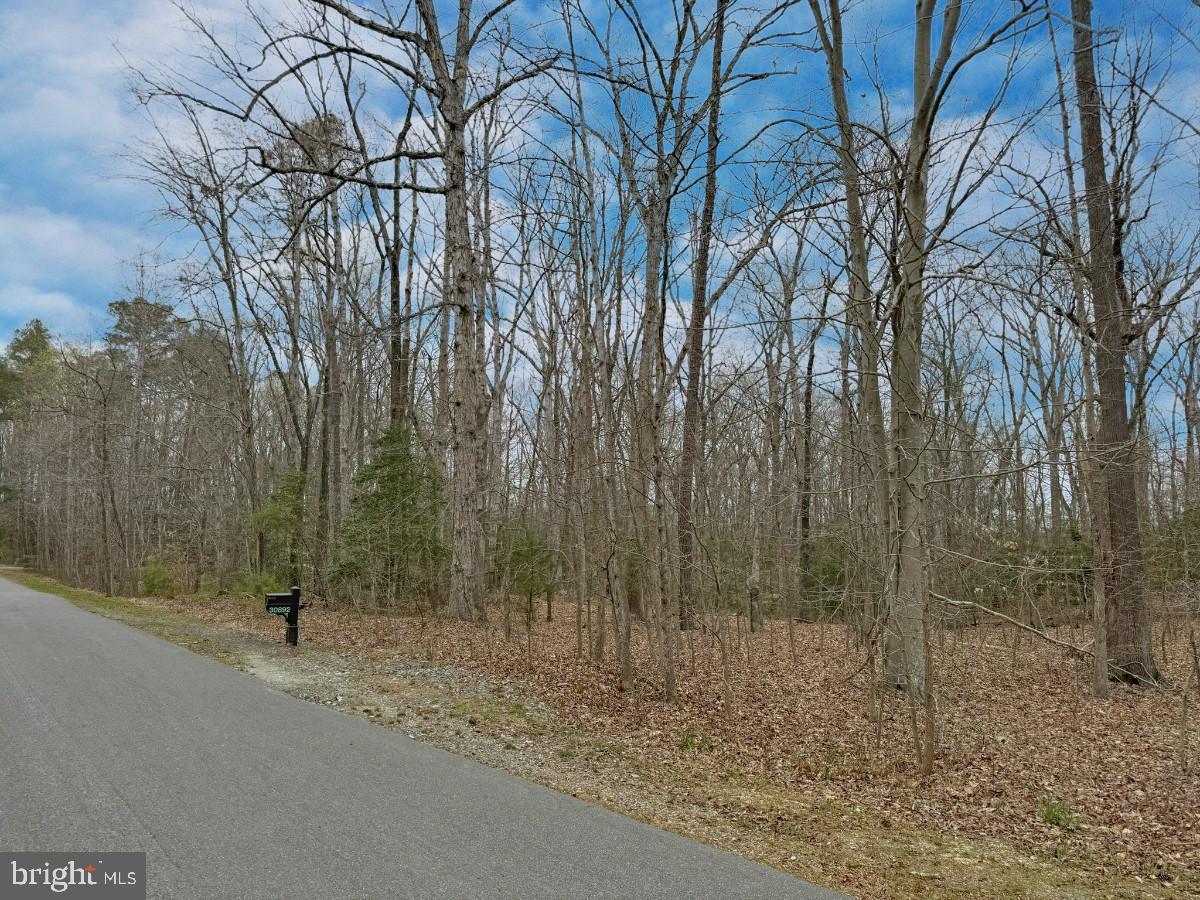 PORTABAGO, PORT ROYAL, Virginia 22535, ,Land,For sale,PORTABAGO,VACV2005656 MLS # VACV2005656