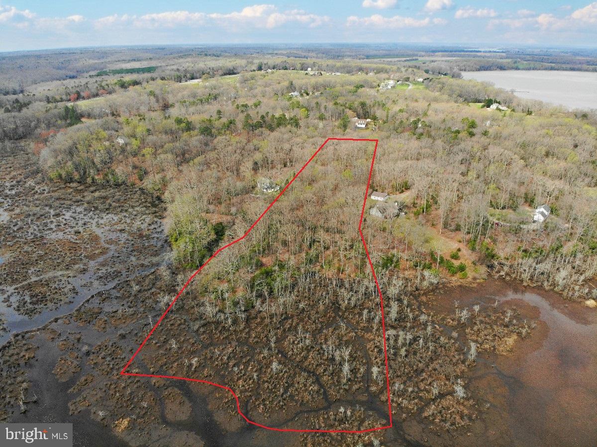 PORTABAGO, PORT ROYAL, Virginia 22535, ,Land,For sale,PORTABAGO,VACV2005656 MLS # VACV2005656