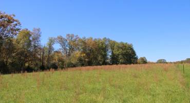 SADLICK LOT S RD, STRASBURG, Virginia 22657, ,Land,For sale,SADLICK LOT S RD,VAWR2009874 MLS # VAWR2009874