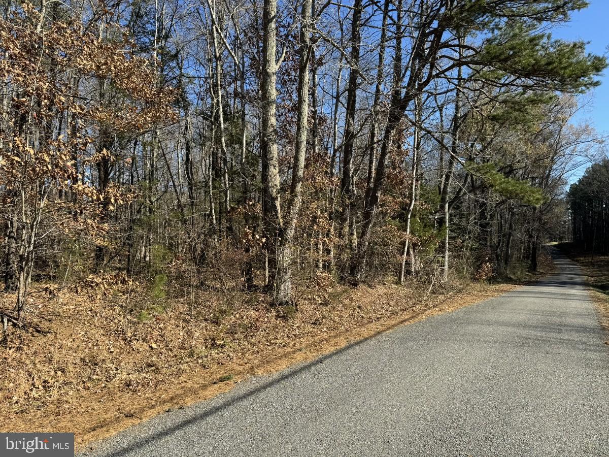 MERRYMAN DR, VICTORIA, Virginia 23974, ,Land,For sale,MERRYMAN DR,VALB2000032 MLS # VALB2000032