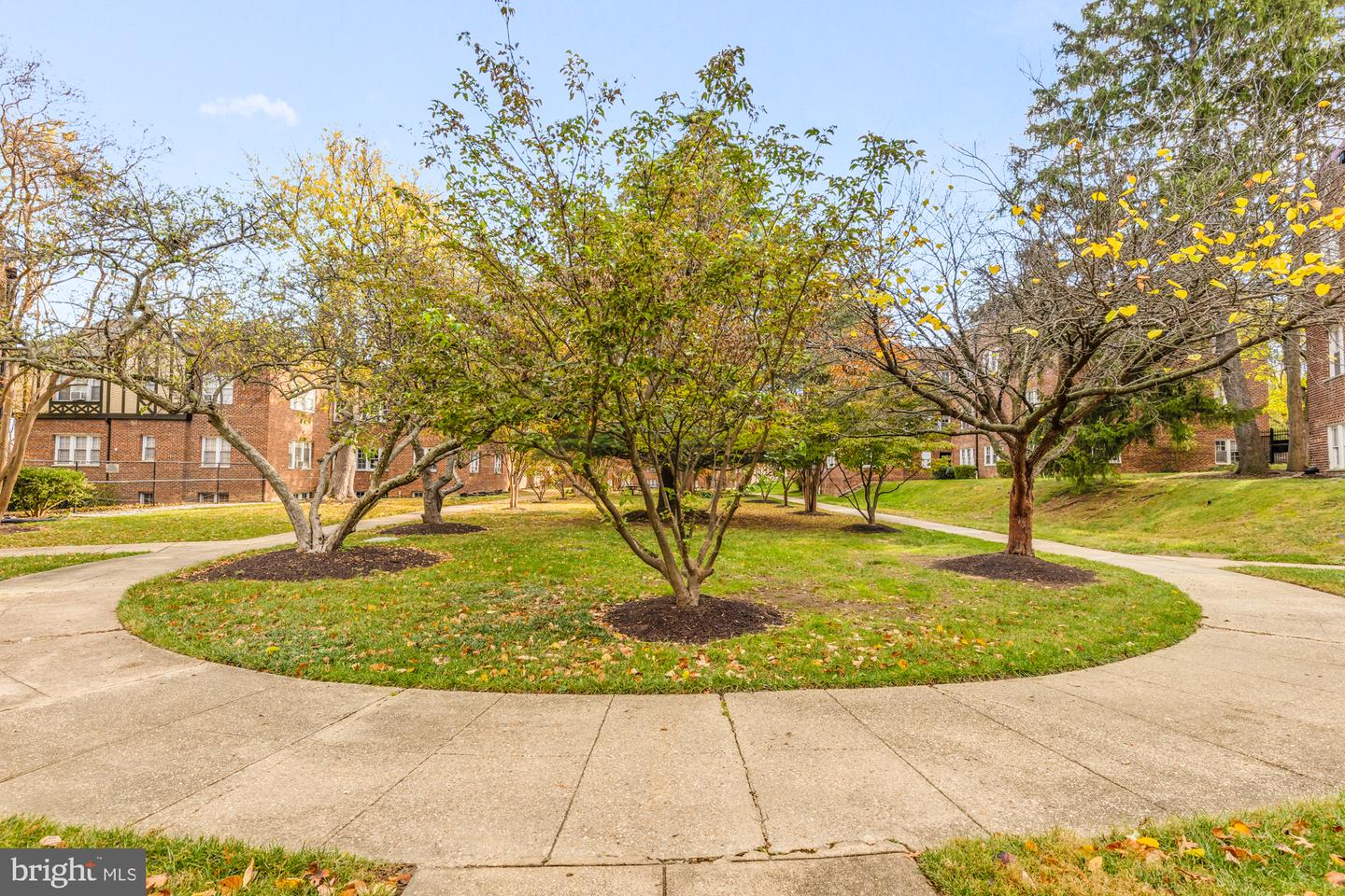 4915 3RD ST NW #102, WASHINGTON, District Of Columbia 20011, 1 Bedroom Bedrooms, 4 Rooms Rooms,1 BathroomBathrooms,Residential,For sale,4915 3RD ST NW #102,DCDC2170528 MLS # DCDC2170528