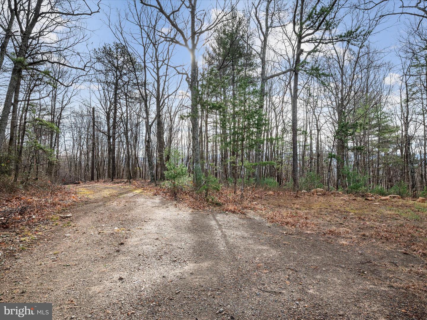 0 BUSHY RIDGE DR, STAR TANNERY, Virginia 22654, ,Land,For sale,0 BUSHY RIDGE DR,VAFV2023244 MLS # VAFV2023244