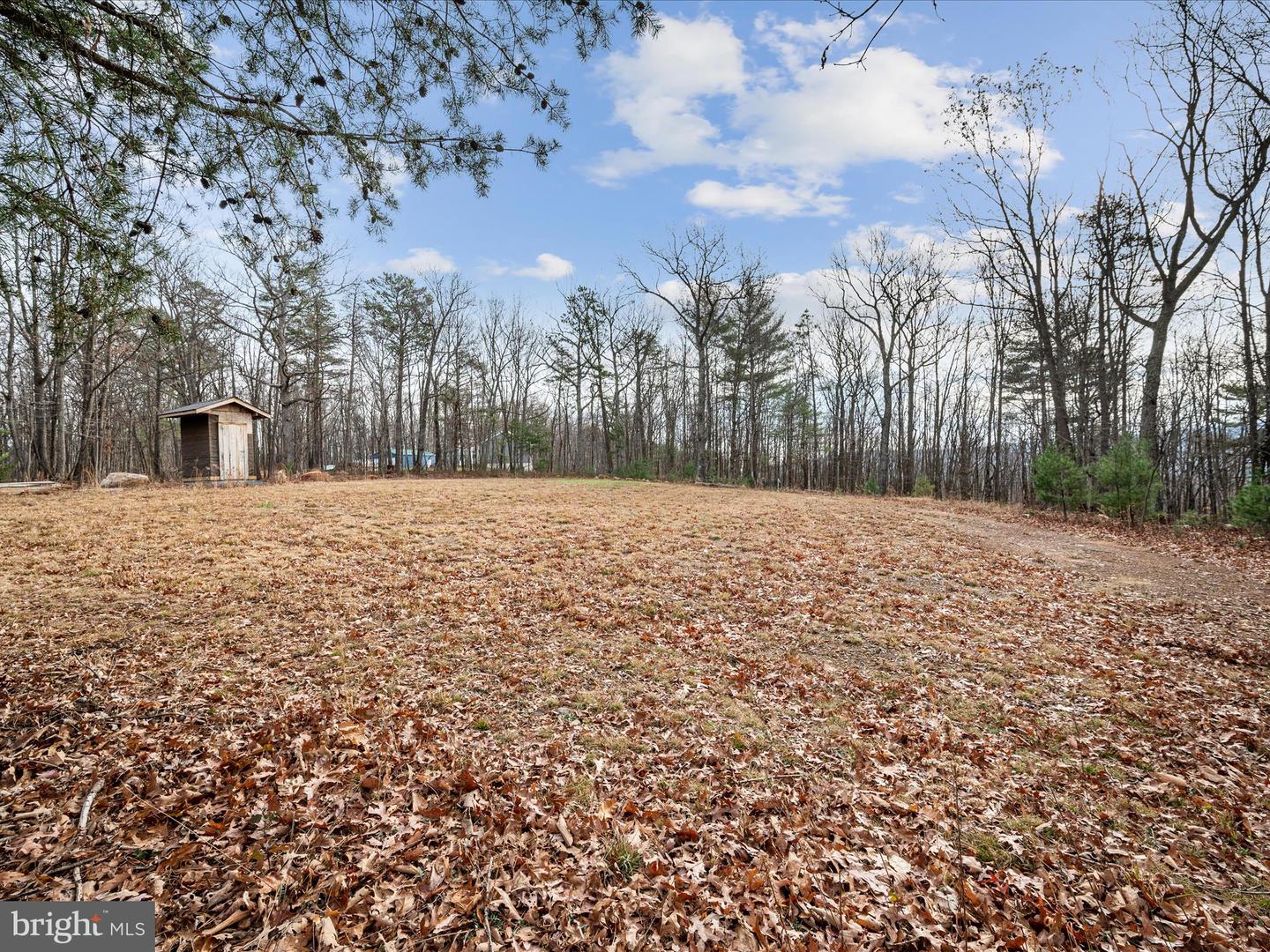 0 BUSHY RIDGE DR, STAR TANNERY, Virginia 22654, ,Land,For sale,0 BUSHY RIDGE DR,VAFV2023244 MLS # VAFV2023244