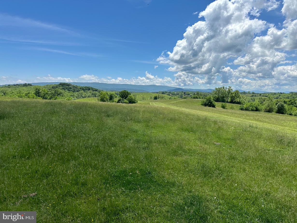 266 QUARTER HORSE LANE, BOYCE, Virginia 22620, 3 Bedrooms Bedrooms, ,2 BathroomsBathrooms,Farm,For sale,266 QUARTER HORSE LANE,VACL2002926 MLS # VACL2002926