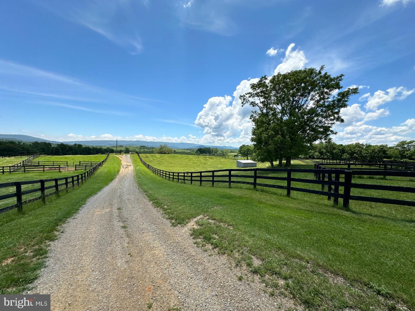 266 QUARTER HORSE LANE, BOYCE, Virginia 22620, 3 Bedrooms Bedrooms, ,2 BathroomsBathrooms,Farm,For sale,266 QUARTER HORSE LANE,VACL2002926 MLS # VACL2002926