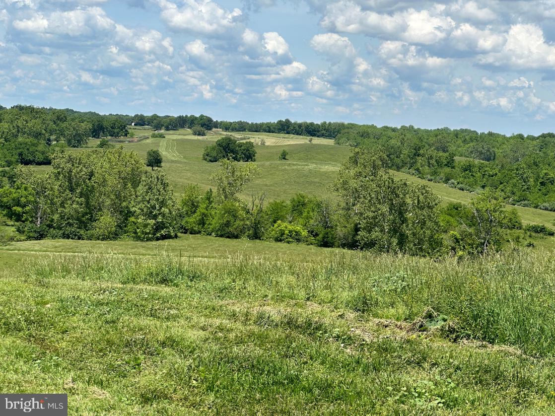 266 QUARTER HORSE LANE, BOYCE, Virginia 22620, 3 Bedrooms Bedrooms, ,2 BathroomsBathrooms,Farm,For sale,266 QUARTER HORSE LANE,VACL2002926 MLS # VACL2002926