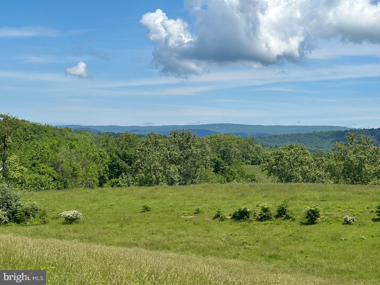 266 QUARTER HORSE LANE, BOYCE, Virginia 22620, 3 Bedrooms Bedrooms, ,2 BathroomsBathrooms,Farm,For sale,266 QUARTER HORSE LANE,VACL2002926 MLS # VACL2002926