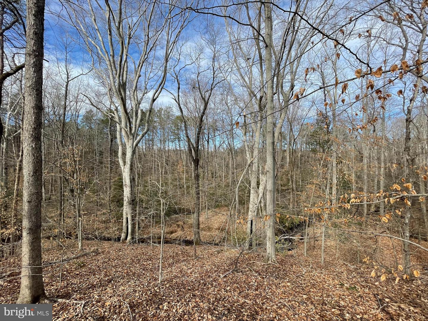 0 BELL, GOOCHLAND, Virginia 23063, ,Land,For sale,0 BELL,VAGO2000298 MLS # VAGO2000298