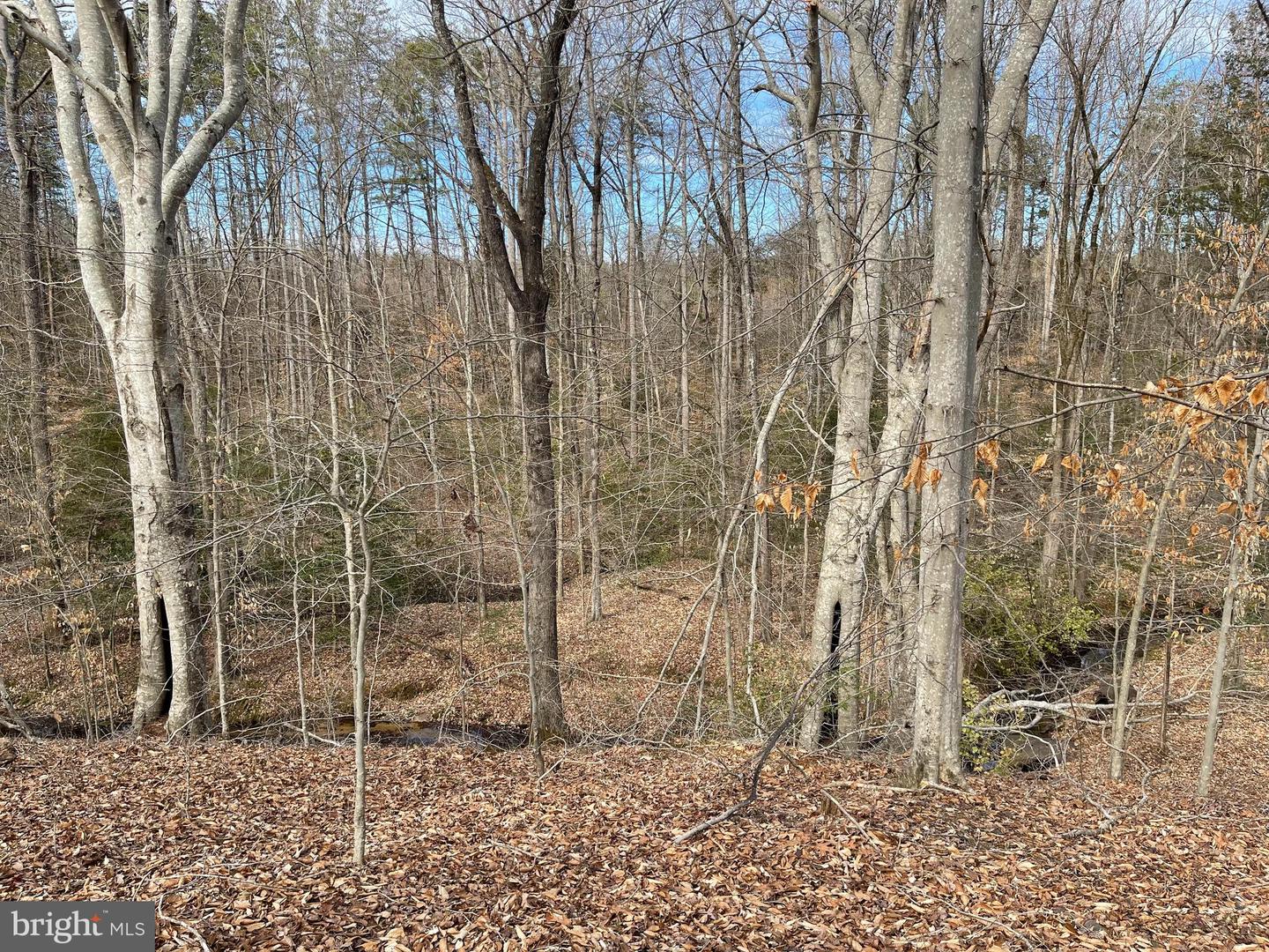 0 BELL, GOOCHLAND, Virginia 23063, ,Land,For sale,0 BELL,VAGO2000298 MLS # VAGO2000298