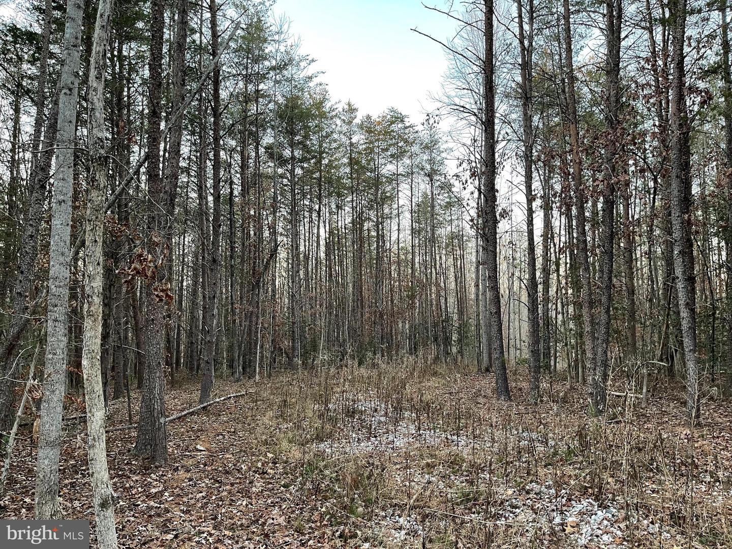 0 BELL, GOOCHLAND, Virginia 23063, ,Land,For sale,0 BELL,VAGO2000298 MLS # VAGO2000298