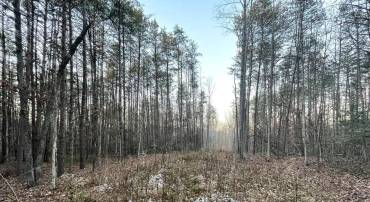 0 BELL, GOOCHLAND, Virginia 23063, ,Land,For sale,0 BELL,VAGO2000298 MLS # VAGO2000298