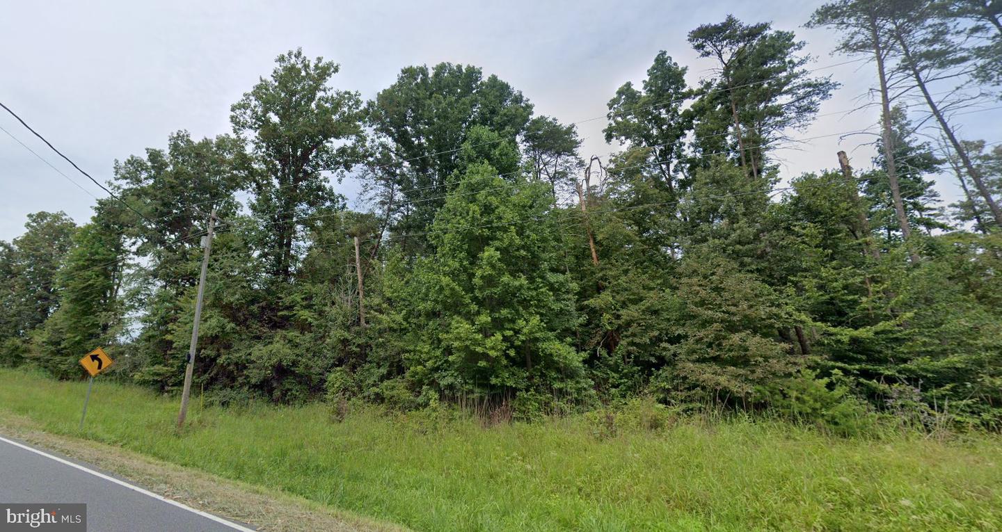 1750 CARTERSVILLE RD, GOOCHLAND, Virginia 23063, ,Land,For sale,1750 CARTERSVILLE RD,VAGO2000294 MLS # VAGO2000294