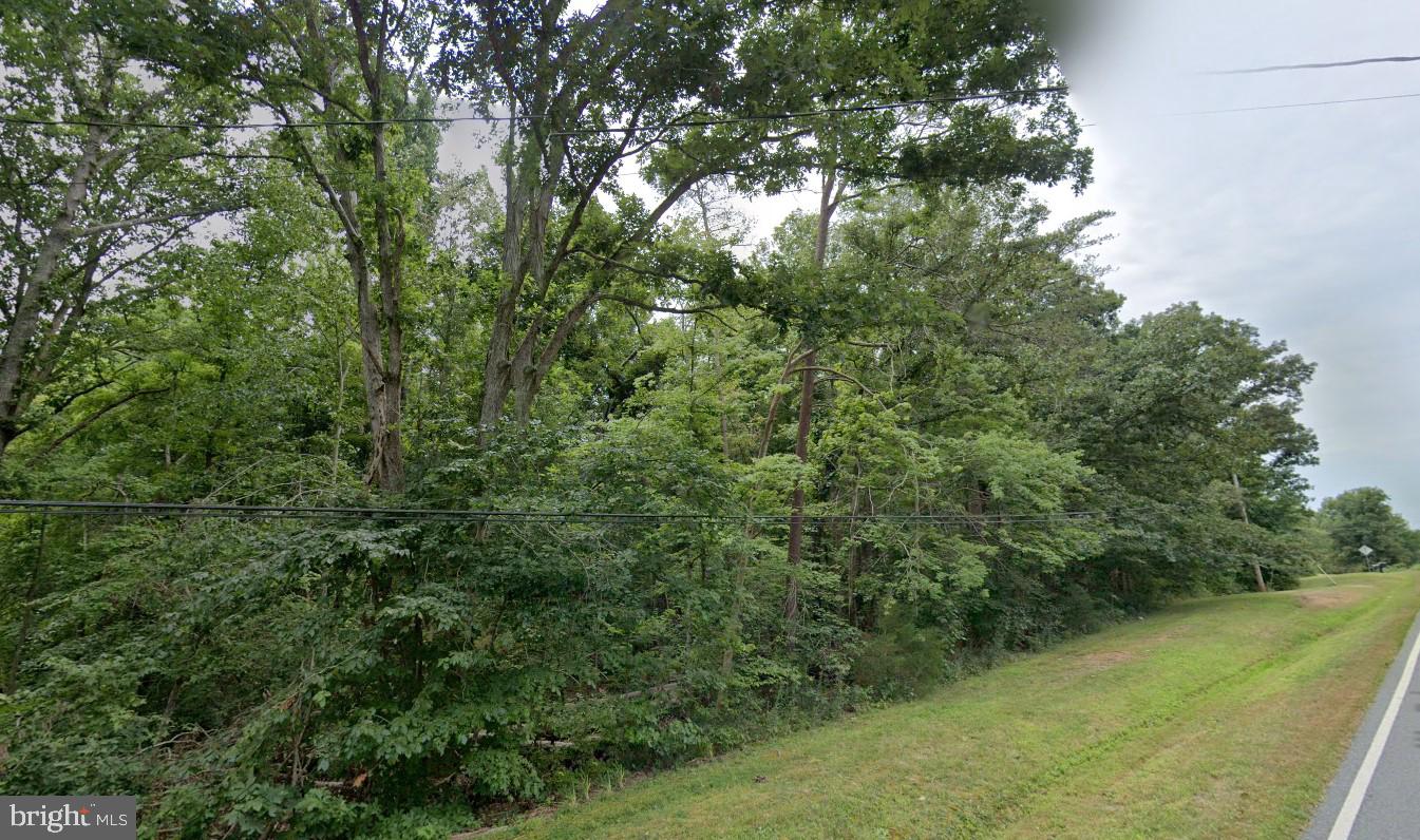 1750 CARTERSVILLE RD, GOOCHLAND, Virginia 23063, ,Land,For sale,1750 CARTERSVILLE RD,VAGO2000294 MLS # VAGO2000294