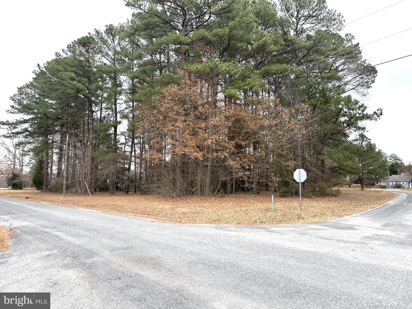 LOT 38 SEC 8 STERN WAY, MONTROSS, Virginia 22520, ,Land,For sale,LOT 38 SEC 8 STERN WAY,VAWE2007934 MLS # VAWE2007934