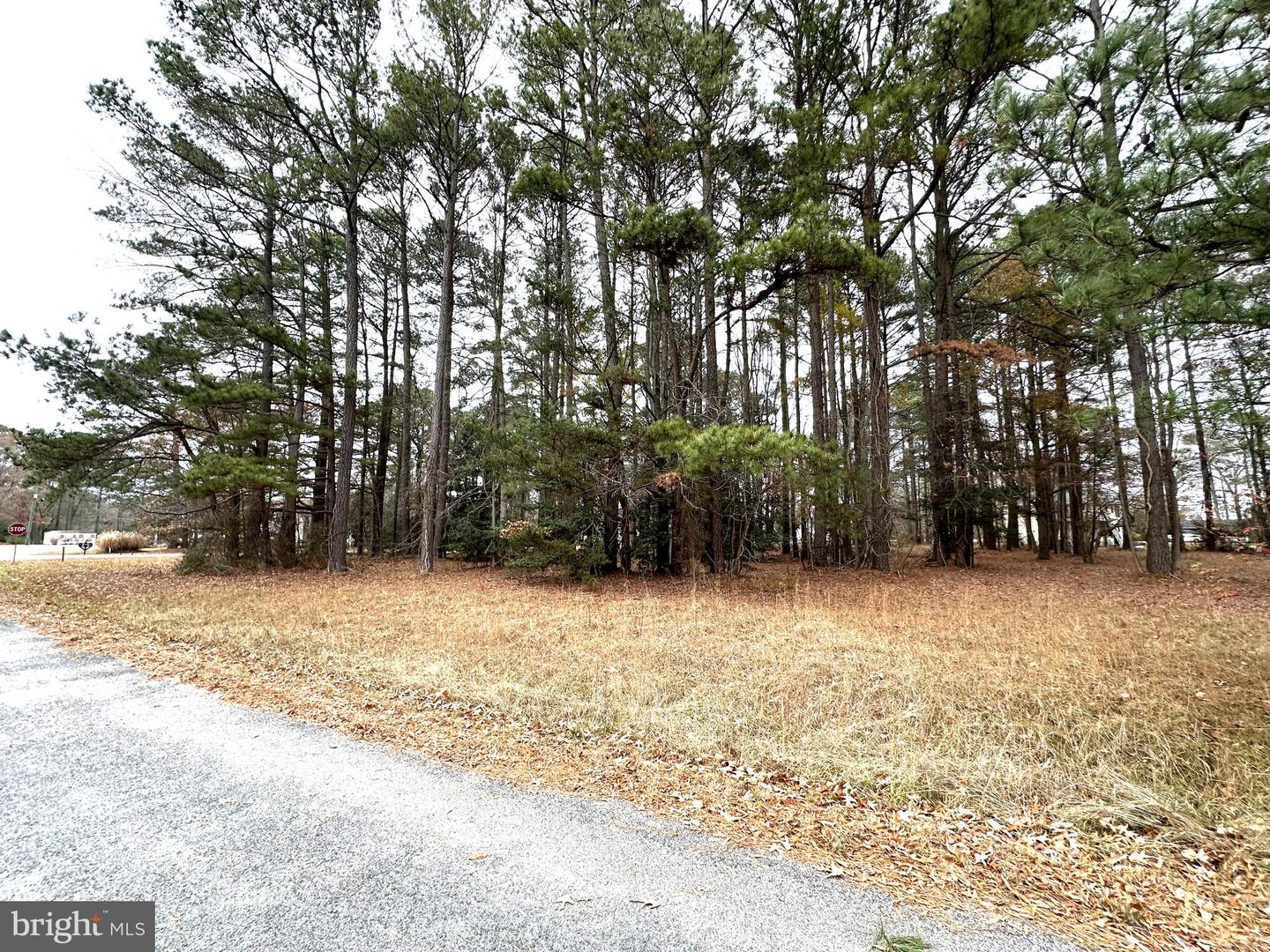 LOT 38 SEC 8 STERN WAY, MONTROSS, Virginia 22520, ,Land,For sale,LOT 38 SEC 8 STERN WAY,VAWE2007934 MLS # VAWE2007934