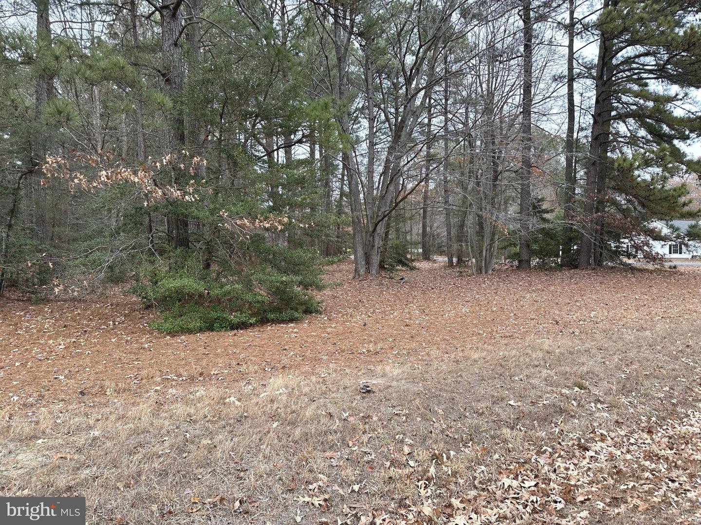 LOT 3 SEC 9 LAUNCH WAY, MONTROSS, Virginia 22520, ,Land,For sale,LOT 3 SEC 9 LAUNCH WAY,VAWE2007936 MLS # VAWE2007936