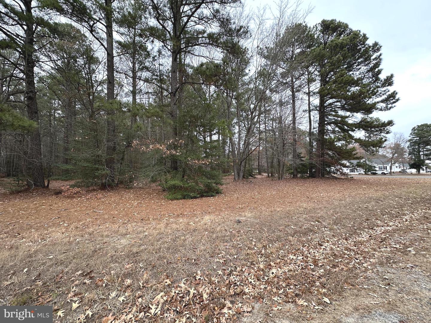 LOT 3 SEC 9 LAUNCH WAY, MONTROSS, Virginia 22520, ,Land,For sale,LOT 3 SEC 9 LAUNCH WAY,VAWE2007936 MLS # VAWE2007936