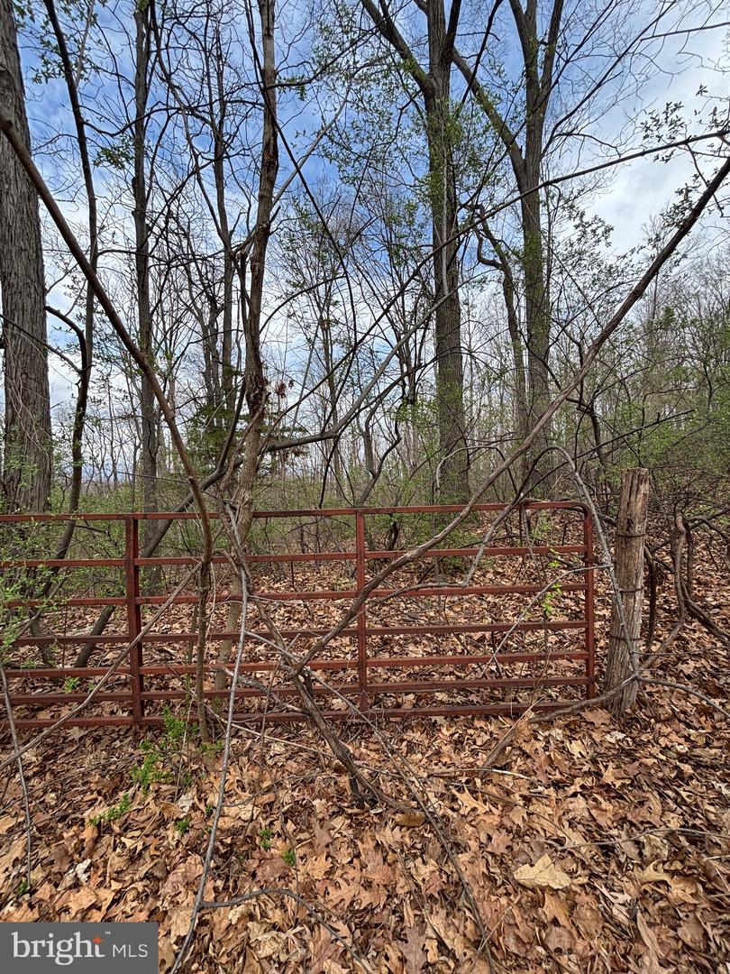 00 CHESTNUT RIDGE RD, STAUNTON, Virginia 24401, ,Land,For sale,00 CHESTNUT RIDGE RD,VAAG2000440 MLS # VAAG2000440