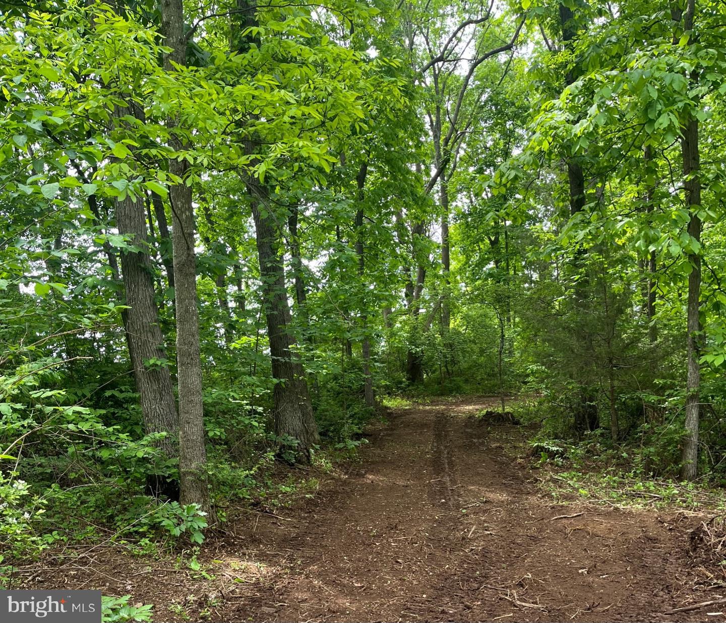 00 CHESTNUT RIDGE RD, STAUNTON, Virginia 24401, ,Land,For sale,00 CHESTNUT RIDGE RD,VAAG2000440 MLS # VAAG2000440